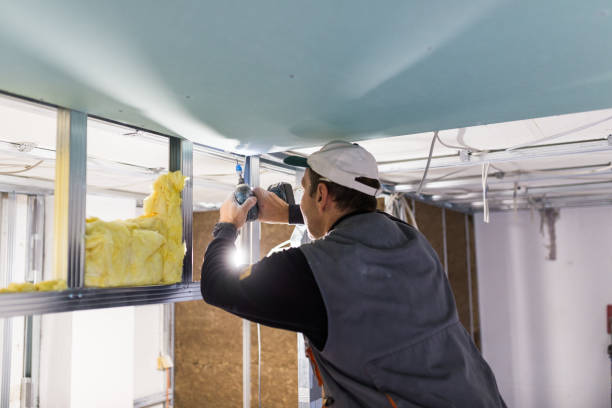 Best Insulation Maintenance and Repair in Northwoods, MO